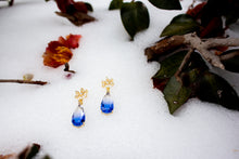 Load image into Gallery viewer, Freezing Rain Earrings